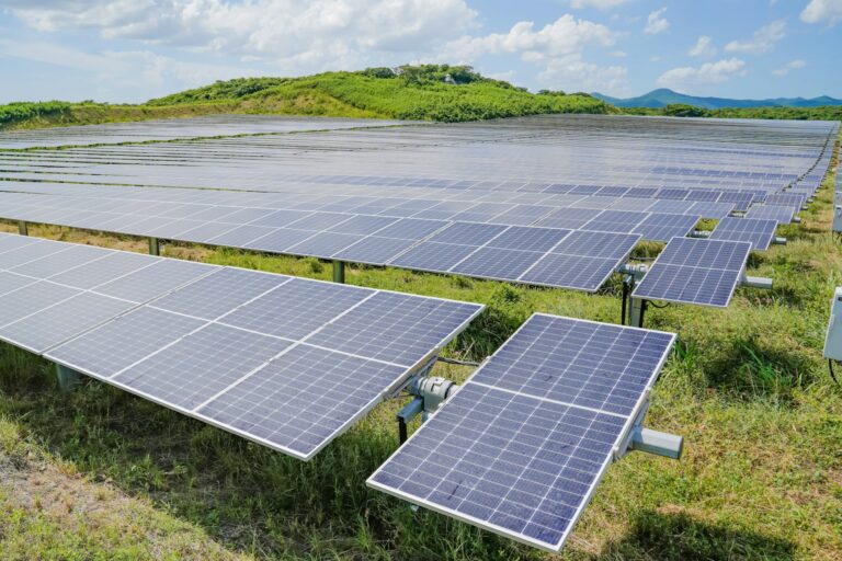combien rapporte 10 000 m2 de panneaux solaires